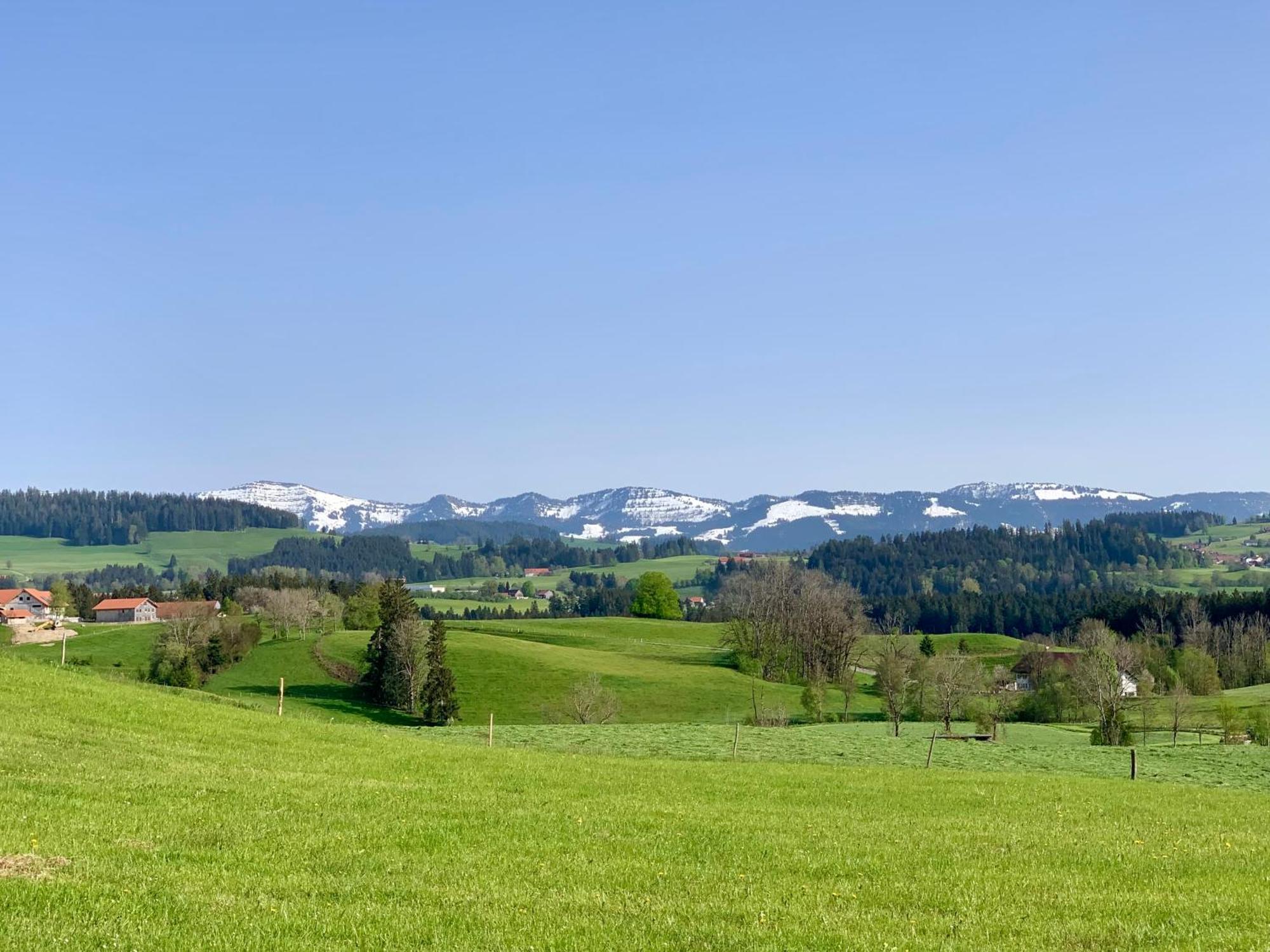 Lindners Hideaways - Bergnest Lodge - Bergblick Fewo 6 Pers Balkon Garten Hund Ski Unterkunft Luftkurort Oberreute Naehe Buchenegger Wasserfaelle Eistobel Bodensee Ngoại thất bức ảnh