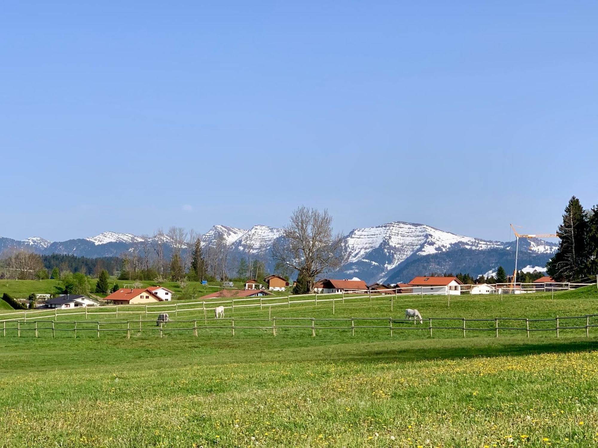 Lindners Hideaways - Bergnest Lodge - Bergblick Fewo 6 Pers Balkon Garten Hund Ski Unterkunft Luftkurort Oberreute Naehe Buchenegger Wasserfaelle Eistobel Bodensee Ngoại thất bức ảnh