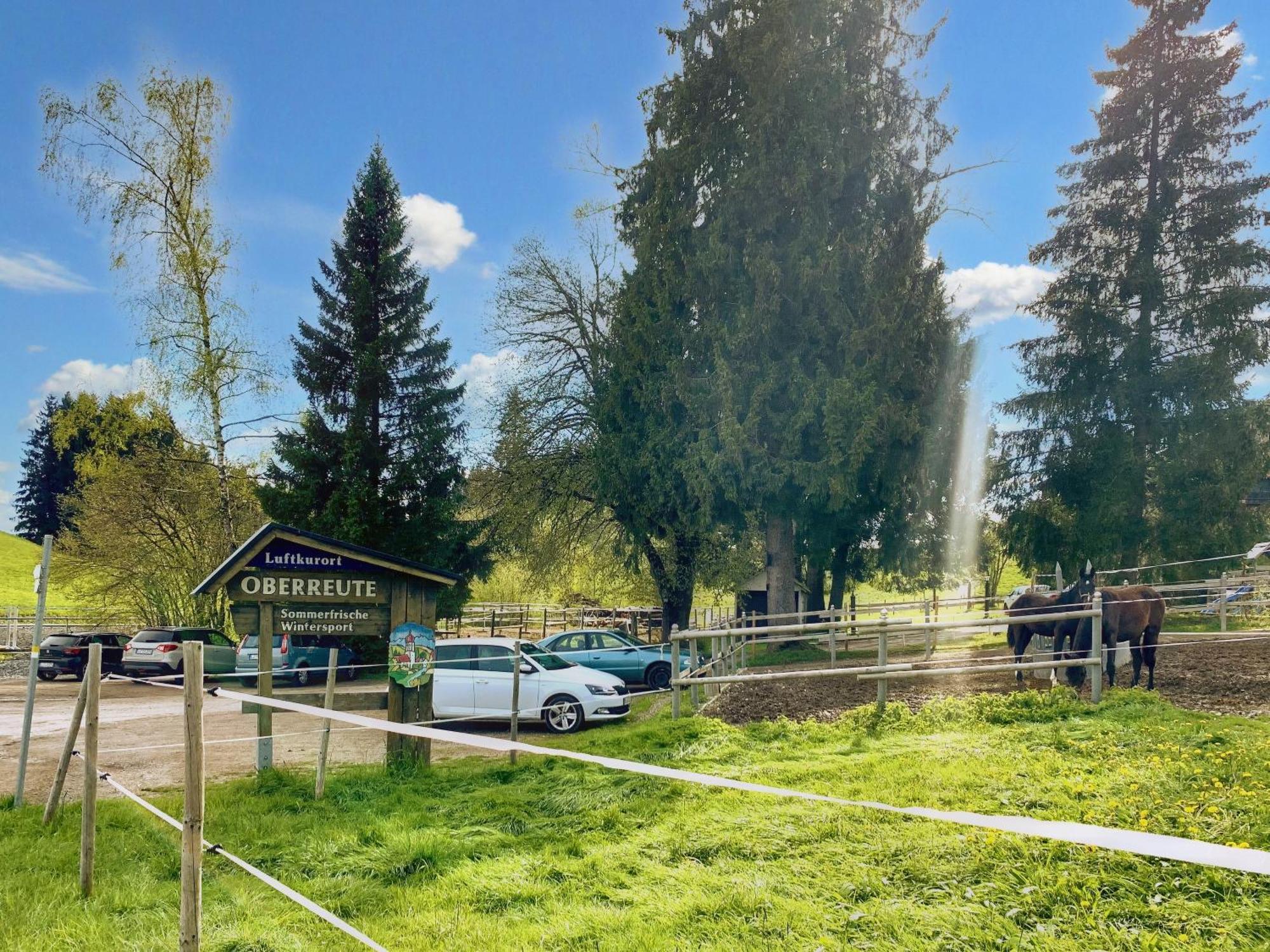 Lindners Hideaways - Bergnest Lodge - Bergblick Fewo 6 Pers Balkon Garten Hund Ski Unterkunft Luftkurort Oberreute Naehe Buchenegger Wasserfaelle Eistobel Bodensee Ngoại thất bức ảnh
